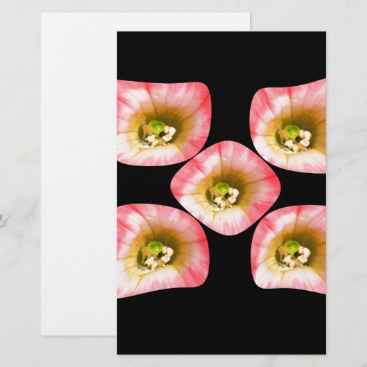 Blumenfreude Briefpapier (Vorne/Hinten)