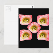 Blumenfreude Postkarte (Vorne/Hinten)
