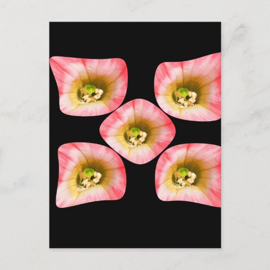 Blumenfreude Postkarte (Vorderseite)