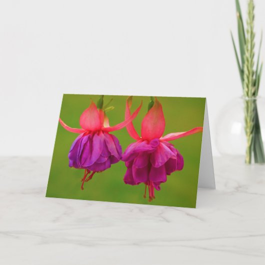 Blumenfreund Krebsförderung Karte (Vorderseite)