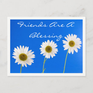Blumenfreunde Weiße Margeriten Blumen Blaue Freund Postkarte