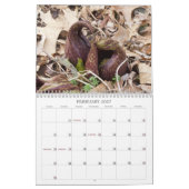 Blumenfülle #1 Kalender (Feb 2027)