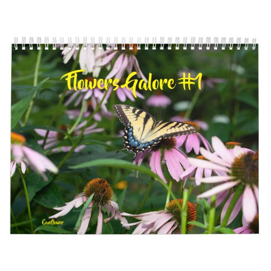 Blumenfülle #1 Kalender (Titelbild)