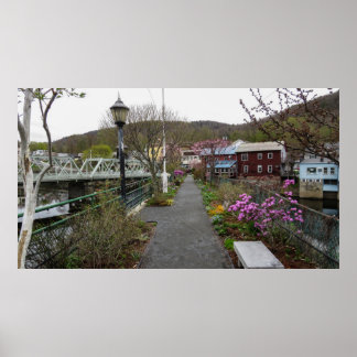 Blumenfußbrücke Poster