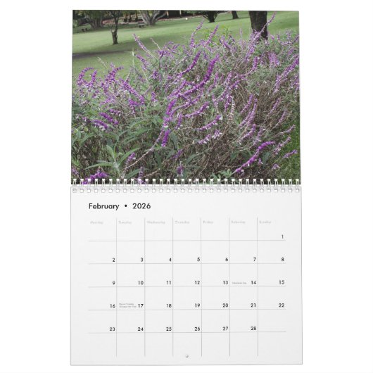 Blumengärten 2025 - Kalender (Feb 2026)