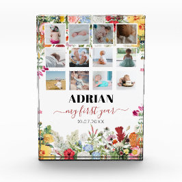 Blumengarten Baby First Year Foto Collage