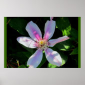 Blumengarten der Mama Poster (Vorne)