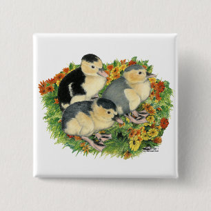 Blumengarten Ducklings Button