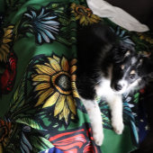 Blumengarten Florist Rose Sonnenblumen und Tulpen Sherpadecke