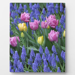 Blumengarten Fotoplatte