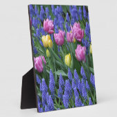 Blumengarten Fotoplatte (Seite)