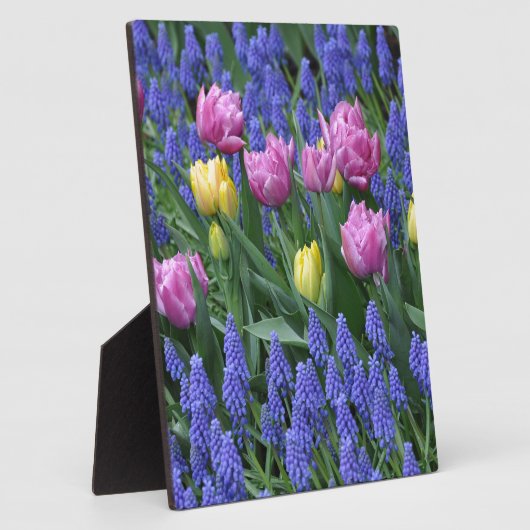 Blumengarten Fotoplatte (Seite)