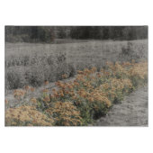 Blumengarten in Schwarz-Weiß-Natur Schneidebrett (Vorderseite)