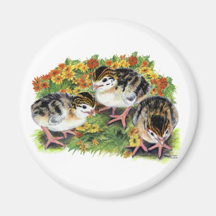 Blumengarten Küken Magnet
