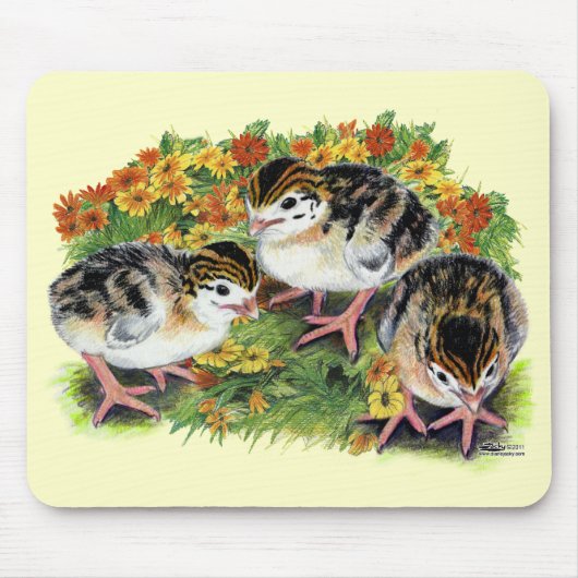 Blumengarten Küken Mousepad (Vorne)