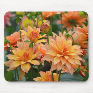 Blumengarten Orange dahlia Mousepad