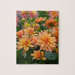 Blumengarten Orange dahlia Puzzle