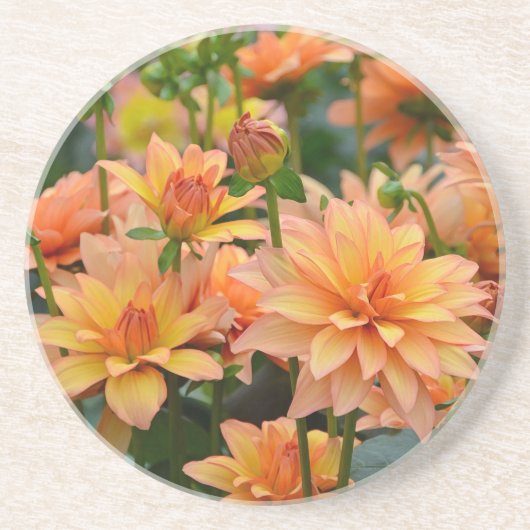 Blumengarten Orange dahlia Sandstein Untersetzer (Vorne)