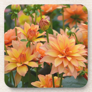 Blumengarten Orange dahlia Untersetzer