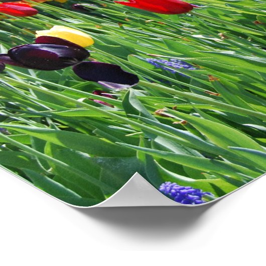 Blumengarten Poster (Ecke)