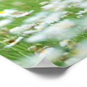 Blumengarten Poster (Ecke)