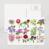 Blumengarten Postkarte (Vorne/Hinten)