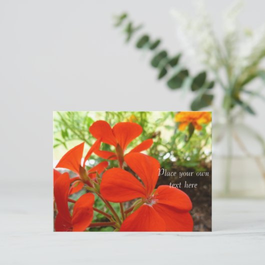 Blumengarten Postkarte (Stehend Vorderseite)