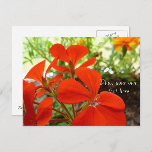 Blumengarten Postkarte (Vorne/Hinten)