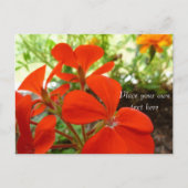 Blumengarten Postkarte (Vorderseite)