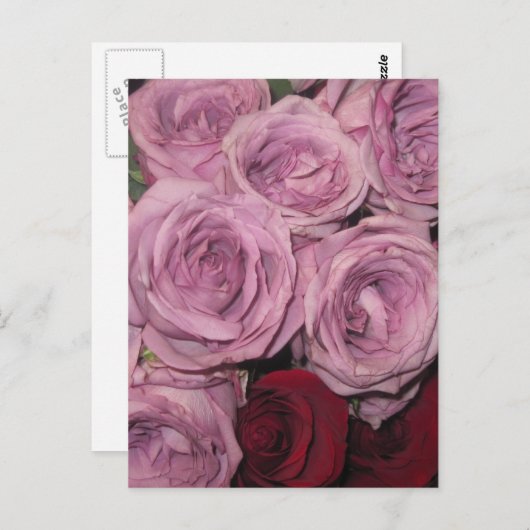 Blumengarten Postkarte (Vorne/Hinten)