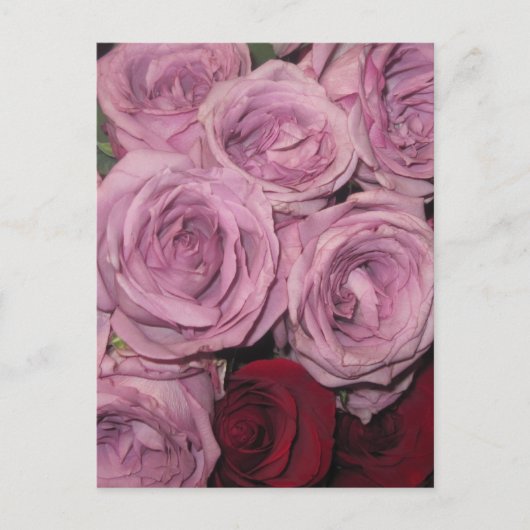 Blumengarten Postkarte (Vorderseite)