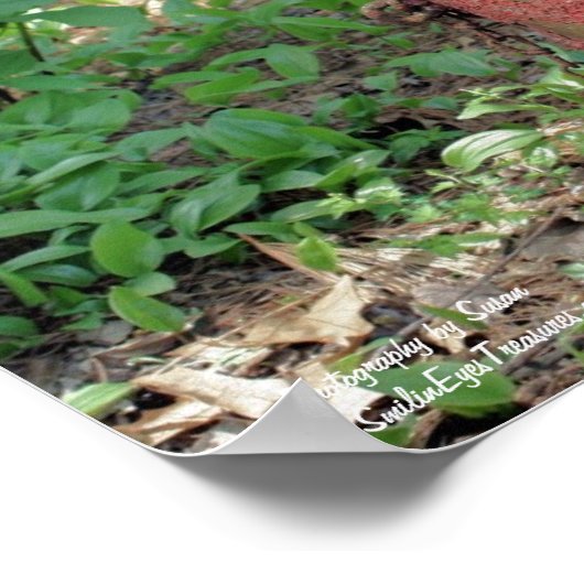 Blumengarten Rusty Fire Hydrant Poster (Ecke)