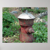 Blumengarten Rusty Fire Hydrant Poster (Vorne)