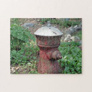 Blumengarten Rusty Fire Hydrant Puzzle