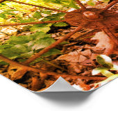 Blumengarten Rusty Wheel und Pump Tinted Poster (Ecke)
