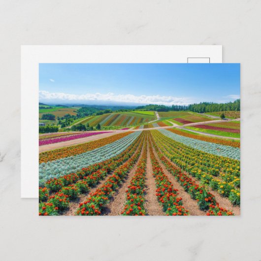 Blumengarten | Shikisai No Oka Blume Farm Postkarte (Vorne/Hinten)