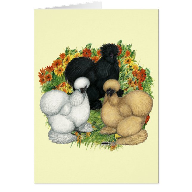 Blumengarten Silkies (Vorne)