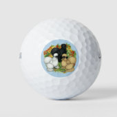 Blumengarten Silkies Golfball (Vorderseite)