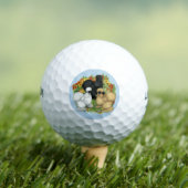 Blumengarten Silkies Golfball (Insitu T-Shirt)