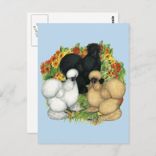 Blumengarten Silkies Postkarte (Vorne/Hinten)