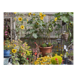 Blumengarten und schmales Boot Poster