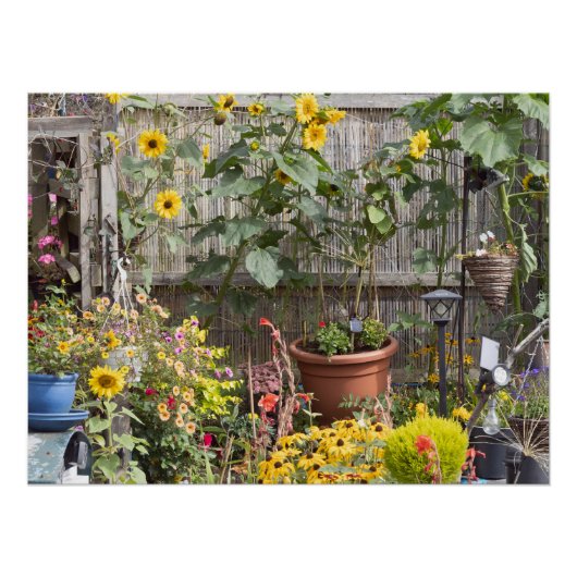 Blumengarten und schmales Boot Poster (Vorderseite)