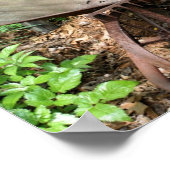 Blumengarten Vintager Rollkarren Poster (Ecke)