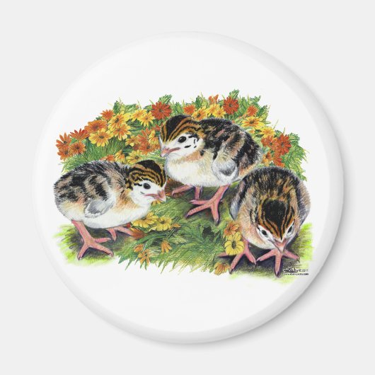 BlumengärtnerKees Magnet (Vorne)