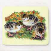 BlumengärtnerKees Mousepad (Vorne)