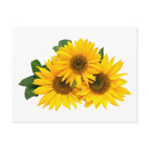 Blumengelbe Blume - Hallo, Liebe