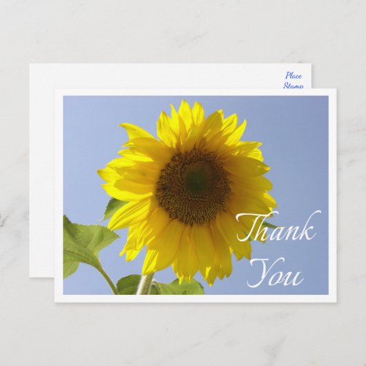 Blumengelbe Sonnenblume Danke Blume Postkarte (Vorne/Hinten)