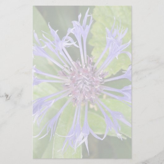 Blumengeschirr Briefpapier (Vorderseite)