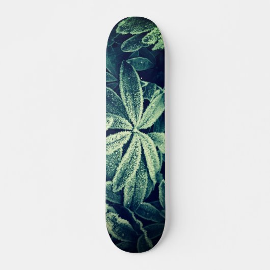 Blumengeschmack: gefrorene Pflanze Skateboard (Vorne)