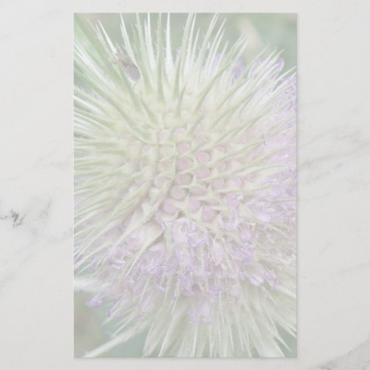 Blumengestationery Briefpapier (Vorderseite)